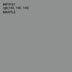#8F9191 - Mantle Color Image