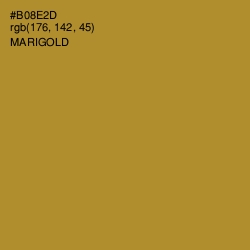 #B08E2D - Marigold Color Image