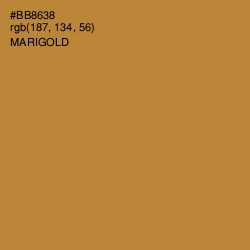 #BB8638 - Marigold Color Image