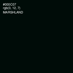#000C07 - Marshland Color Image