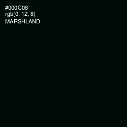#000C08 - Marshland Color Image