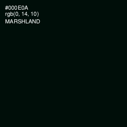#000E0A - Marshland Color Image