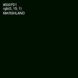 #000F01 - Marshland Color Image