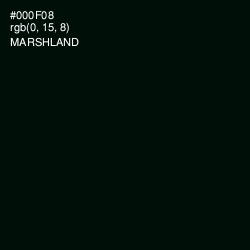#000F08 - Marshland Color Image