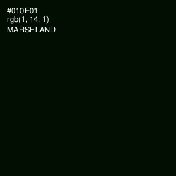 #010E01 - Marshland Color Image