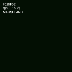 #020F02 - Marshland Color Image
