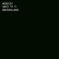 #030C01 - Marshland Color Image
