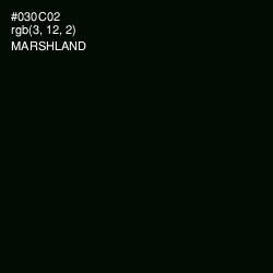#030C02 - Marshland Color Image