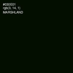 #030E01 - Marshland Color Image