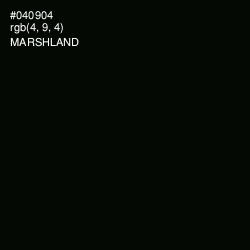 #040904 - Marshland Color Image