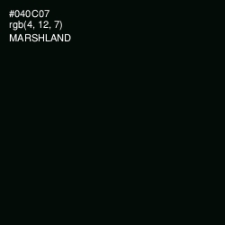 #040C07 - Marshland Color Image