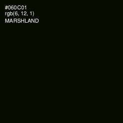 #060C01 - Marshland Color Image