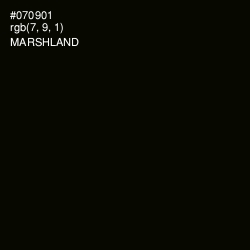 #070901 - Marshland Color Image