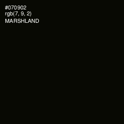 #070902 - Marshland Color Image