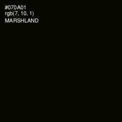 #070A01 - Marshland Color Image
