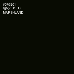 #070B01 - Marshland Color Image