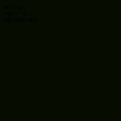 #070C01 - Marshland Color Image