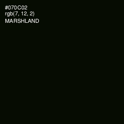 #070C02 - Marshland Color Image