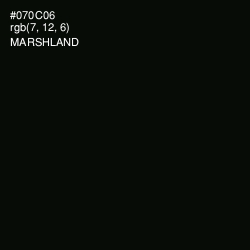 #070C06 - Marshland Color Image