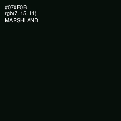 #070F0B - Marshland Color Image