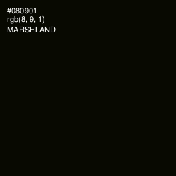 #080901 - Marshland Color Image