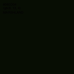 #080D04 - Marshland Color Image