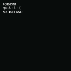 #080D0B - Marshland Color Image