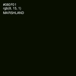 #080F01 - Marshland Color Image