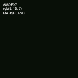 #080F07 - Marshland Color Image