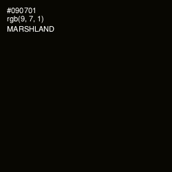 #090701 - Marshland Color Image