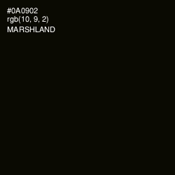 #0A0902 - Marshland Color Image