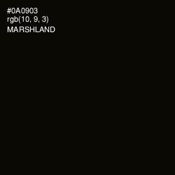 #0A0903 - Marshland Color Image