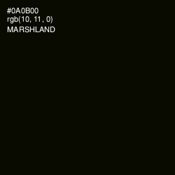 #0A0B00 - Marshland Color Image