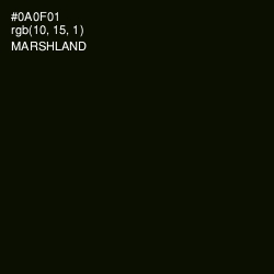 #0A0F01 - Marshland Color Image