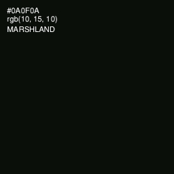 #0A0F0A - Marshland Color Image