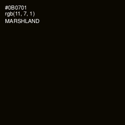 #0B0701 - Marshland Color Image