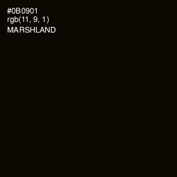 #0B0901 - Marshland Color Image