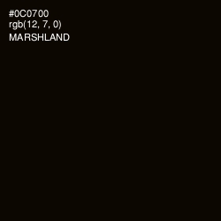 #0C0700 - Marshland Color Image