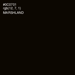 #0C0701 - Marshland Color Image