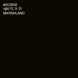 #0C0900 - Marshland Color Image