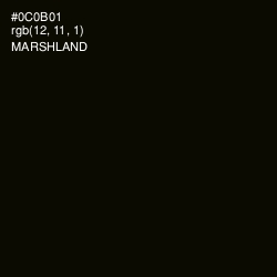 #0C0B01 - Marshland Color Image