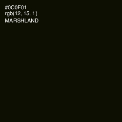 #0C0F01 - Marshland Color Image