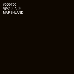 #0D0700 - Marshland Color Image