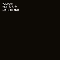 #0D0904 - Marshland Color Image
