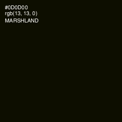 #0D0D00 - Marshland Color Image