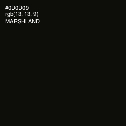 #0D0D09 - Marshland Color Image