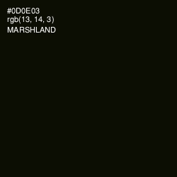 #0D0E03 - Marshland Color Image