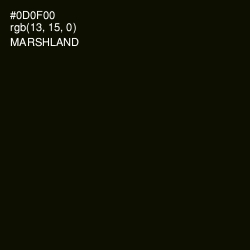 #0D0F00 - Marshland Color Image