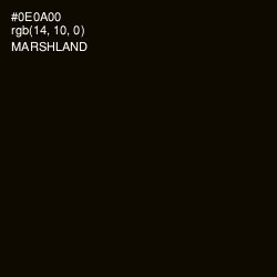 #0E0A00 - Marshland Color Image