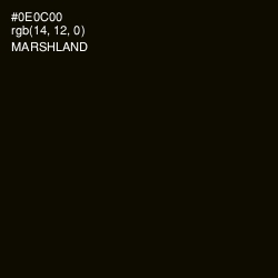 #0E0C00 - Marshland Color Image